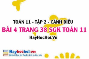 Bài 4 trang 38 Toán 11 tập 2 Cánh Diều